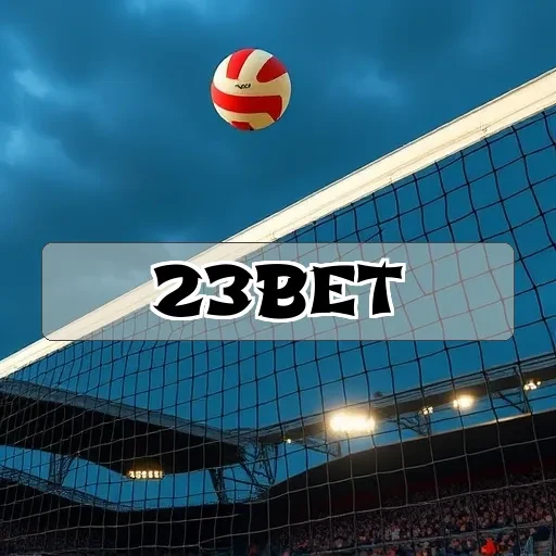 23bet.com: O Melhor Destino Para Jogar Bingo Online Agora